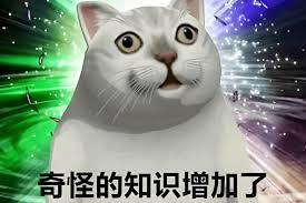 奇怪的知识增加了是什么意思– 墨鱼词典